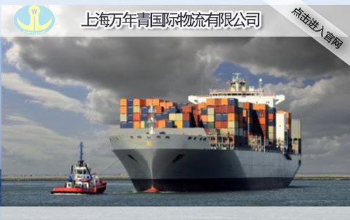 上海國際外貿出口海運運輸公司 萬年青國際物流